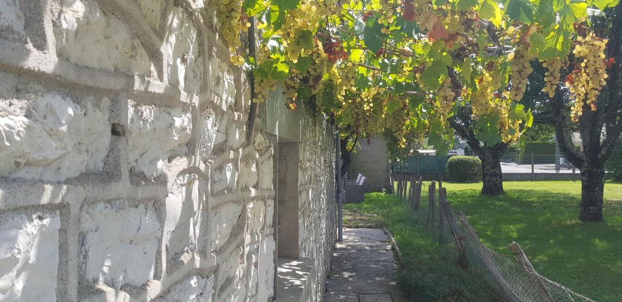 Wifi Clim Garage Jardin Bbq Cosy House Villa Brive-la-Gaillarde Exterior photo